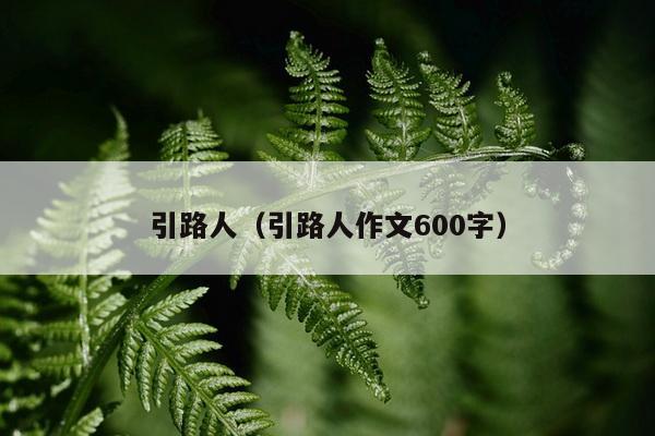 引路人（引路人作文600字）