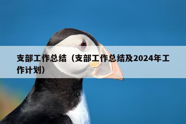 支部工作总结（支部工作总结及2024年工作计划）