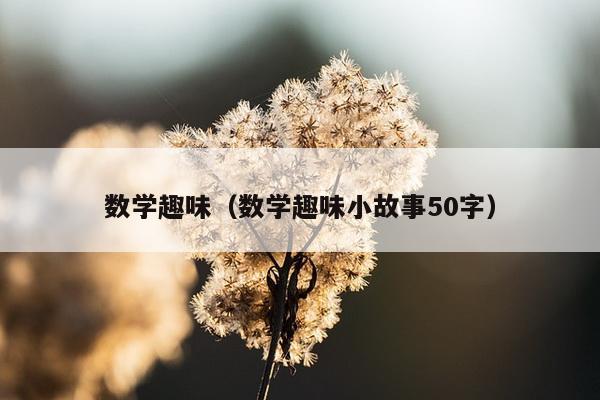 数学趣味（数学趣味小故事50字）