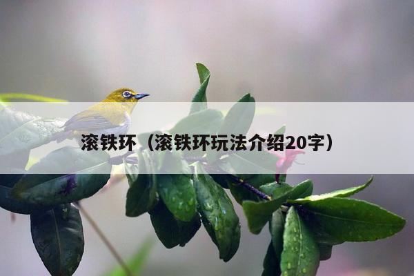 滚铁环（滚铁环玩法介绍20字）