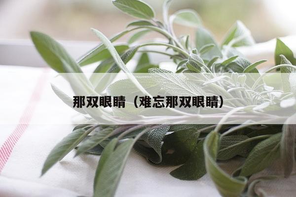 那双眼睛（难忘那双眼睛）