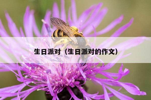 生日派对（生日派对的作文）