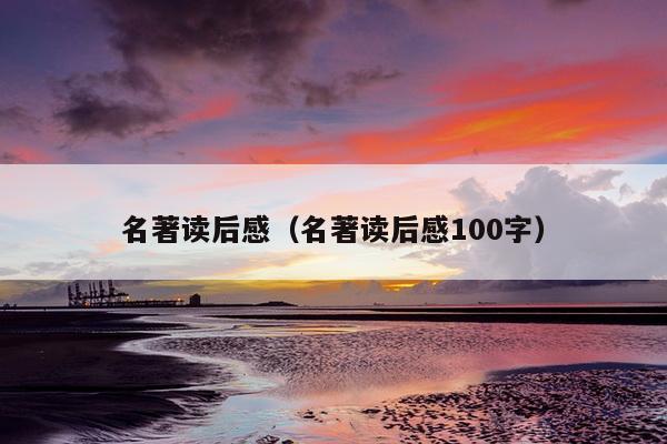 名著读后感（名著读后感100字）