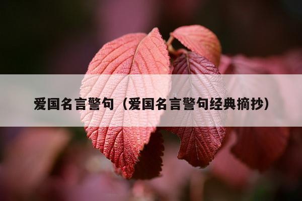 爱国名言警句（爱国名言警句经典摘抄）