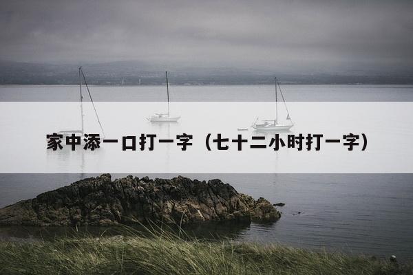 家中添一口打一字（七十二小时打一字）