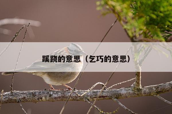 蹊跷的意思（乞巧的意思）