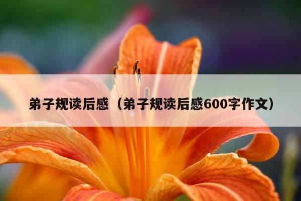 弟子规读后感（弟子规读后感600字作文）