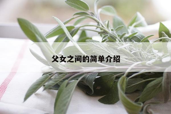 父女之间的简单介绍