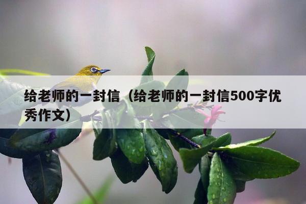 给老师的一封信（给老师的一封信500字优秀作文）