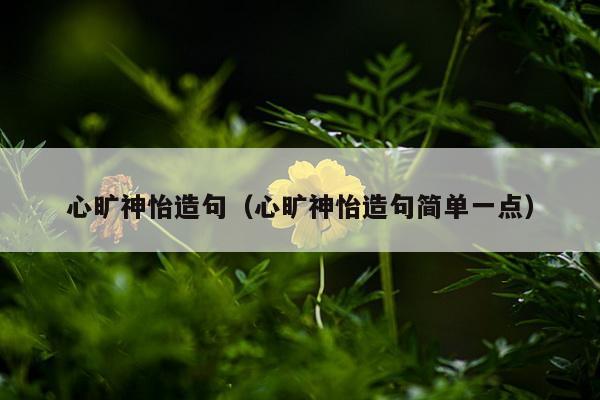 心旷神怡造句（心旷神怡造句简单一点）