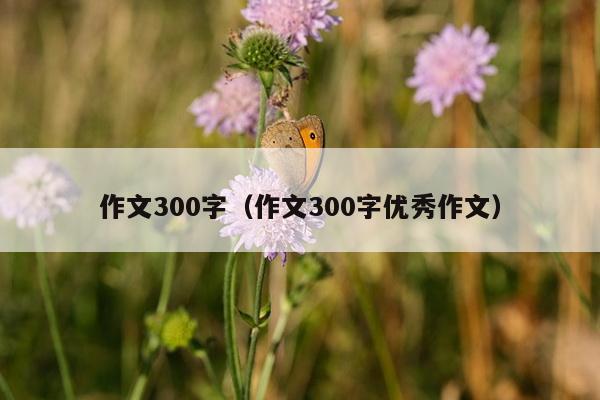 作文300字（作文300字优秀作文）