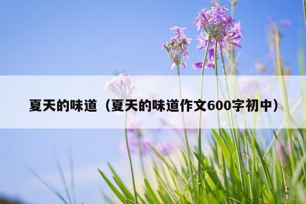 夏天的味道（夏天的味道作文600字初中）