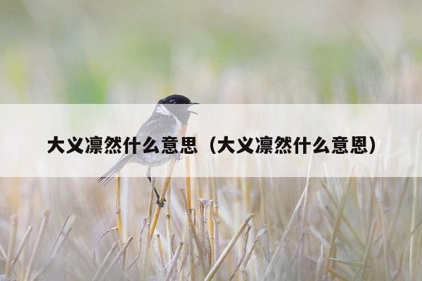 大义凛然什么意思（大义凛然什么意恩）