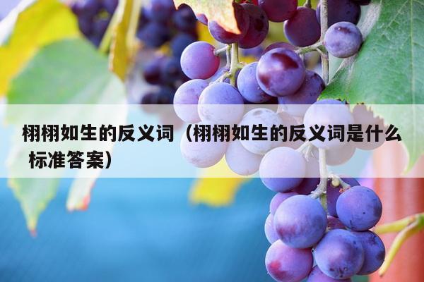 栩栩如生的反义词（栩栩如生的反义词是什么 标准答案）