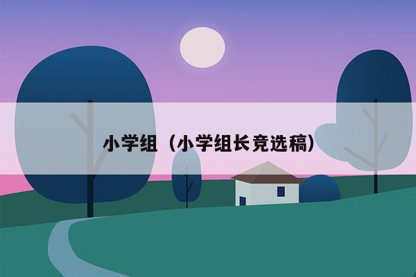 小学组（小学组长竞选稿）