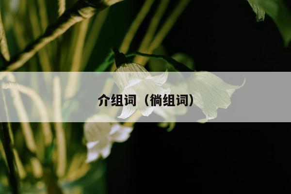 介组词（徜组词）