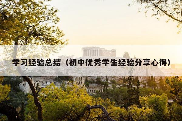 学习经验总结（初中优秀学生经验分享心得）