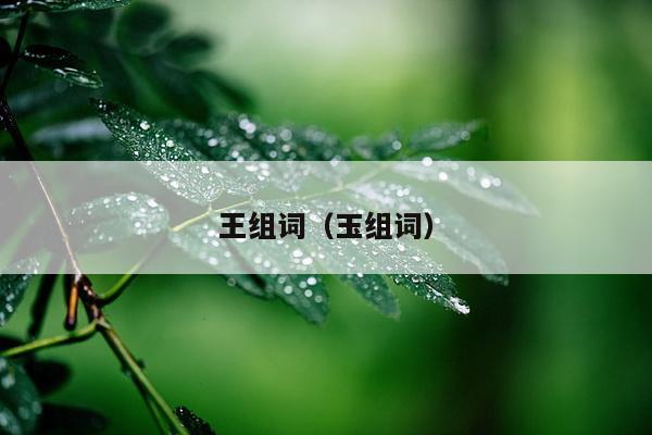 王组词（玉组词）