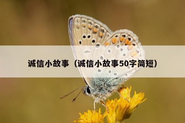 诚信小故事（诚信小故事50字简短）