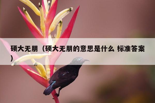 硕大无朋（硕大无朋的意思是什么 标准答案）