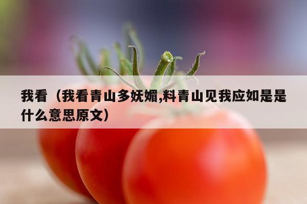 我看（我看青山多妩媚,料青山见我应如是是什么意思原文）