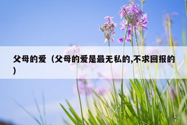 父母的爱（父母的爱是最无私的,不求回报的）