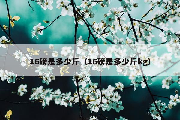 16磅是多少斤（16磅是多少斤kg）