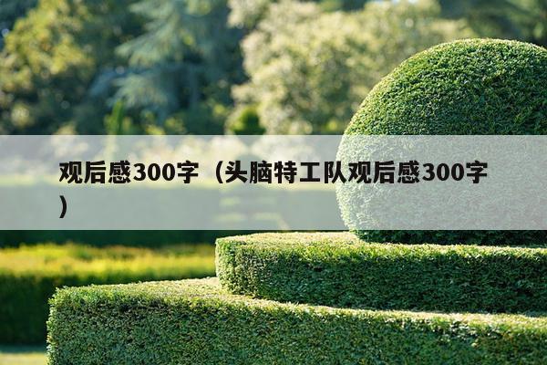 观后感300字（头脑特工队观后感300字）