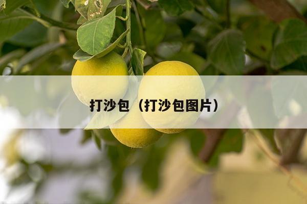 打沙包（打沙包图片）