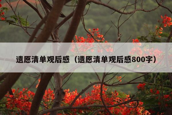 遗愿清单观后感（遗愿清单观后感800字）