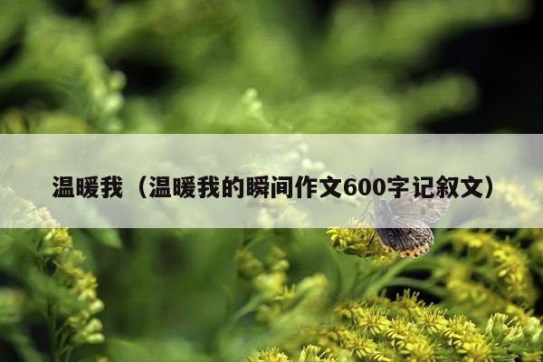 温暖我（温暖我的瞬间作文600字记叙文）