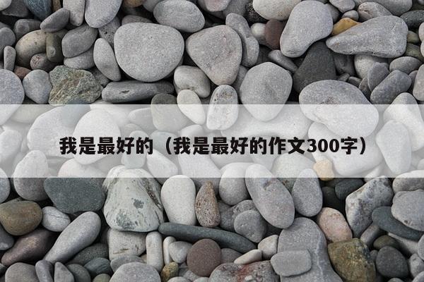 我是最好的（我是最好的作文300字）