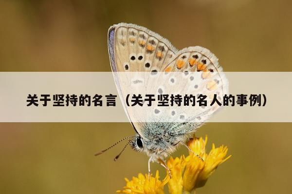 关于坚持的名言（关于坚持的名人的事例）