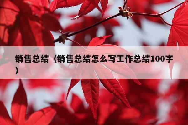 销售总结（销售总结怎么写工作总结100字）