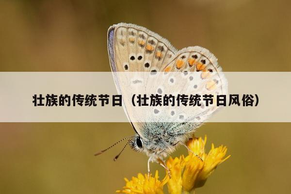 壮族的传统节日（壮族的传统节日风俗）