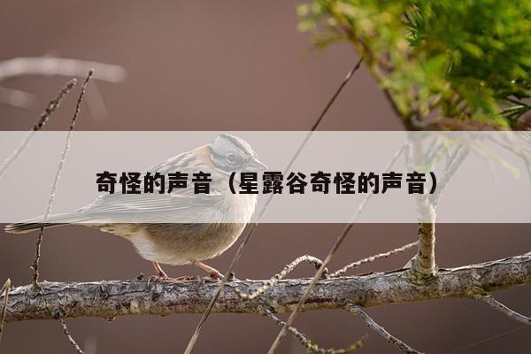 奇怪的声音（星露谷奇怪的声音）