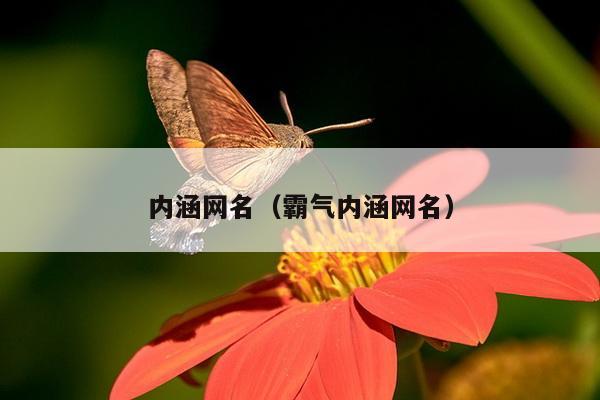 内涵网名（霸气内涵网名）