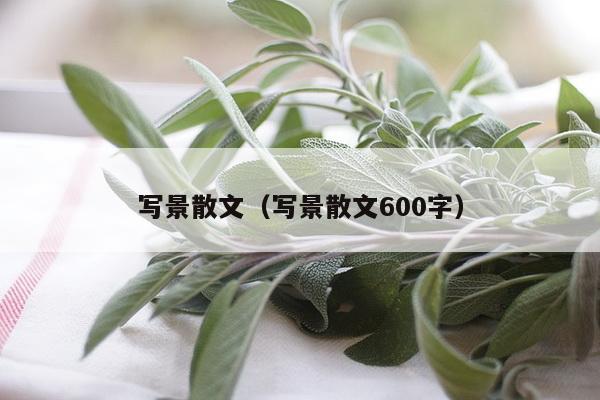 写景散文（写景散文600字）