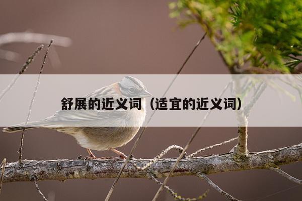 舒展的近义词（适宜的近义词）