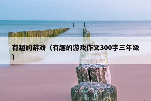 有趣的游戏（有趣的游戏作文300字三年级）