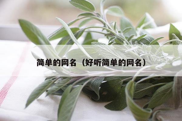 简单的网名（好听简单的网名）