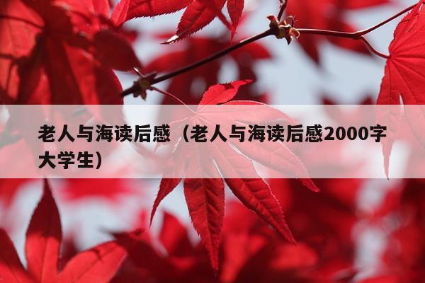 老人与海读后感（老人与海读后感2000字大学生）