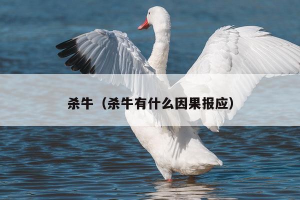 杀牛（杀牛有什么因果报应）