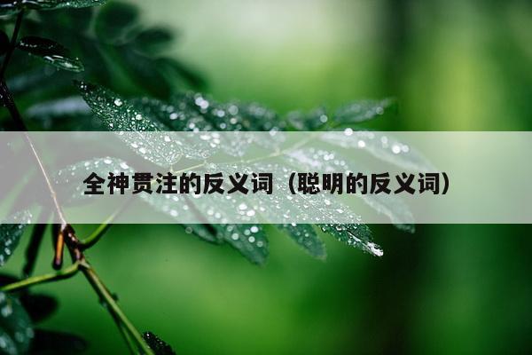 全神贯注的反义词（聪明的反义词）