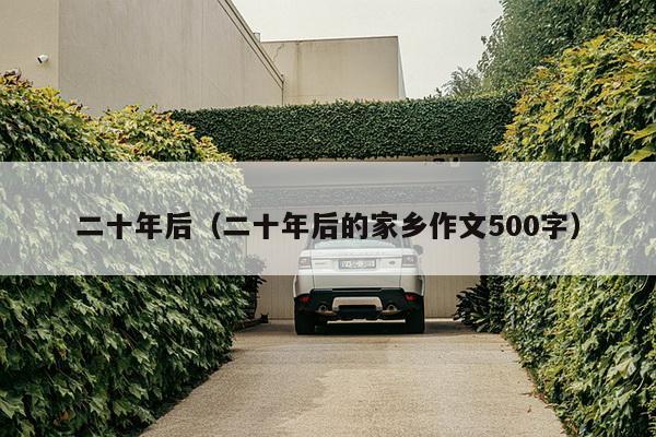 二十年后（二十年后的家乡作文500字）