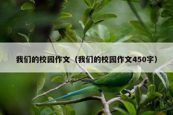 我们的校园作文（我们的校园作文450字）