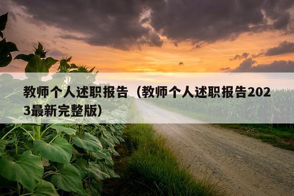 教师个人述职报告（教师个人述职报告2023最新完整版）