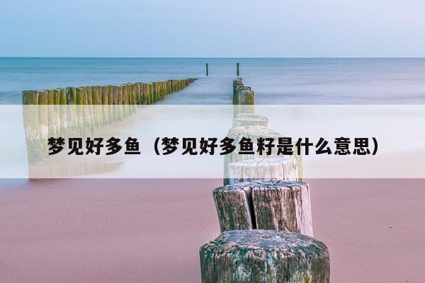 梦见好多鱼（梦见好多鱼籽是什么意思）