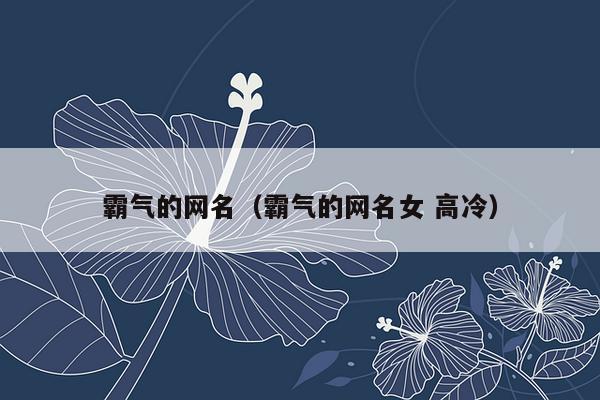 霸气的网名（霸气的网名女 高冷）