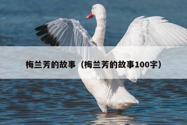 梅兰芳的故事（梅兰芳的故事100字）